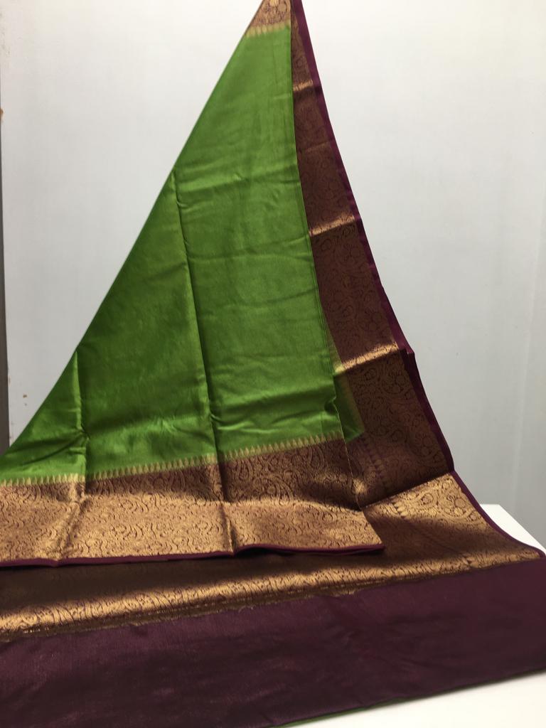Parrot Green 