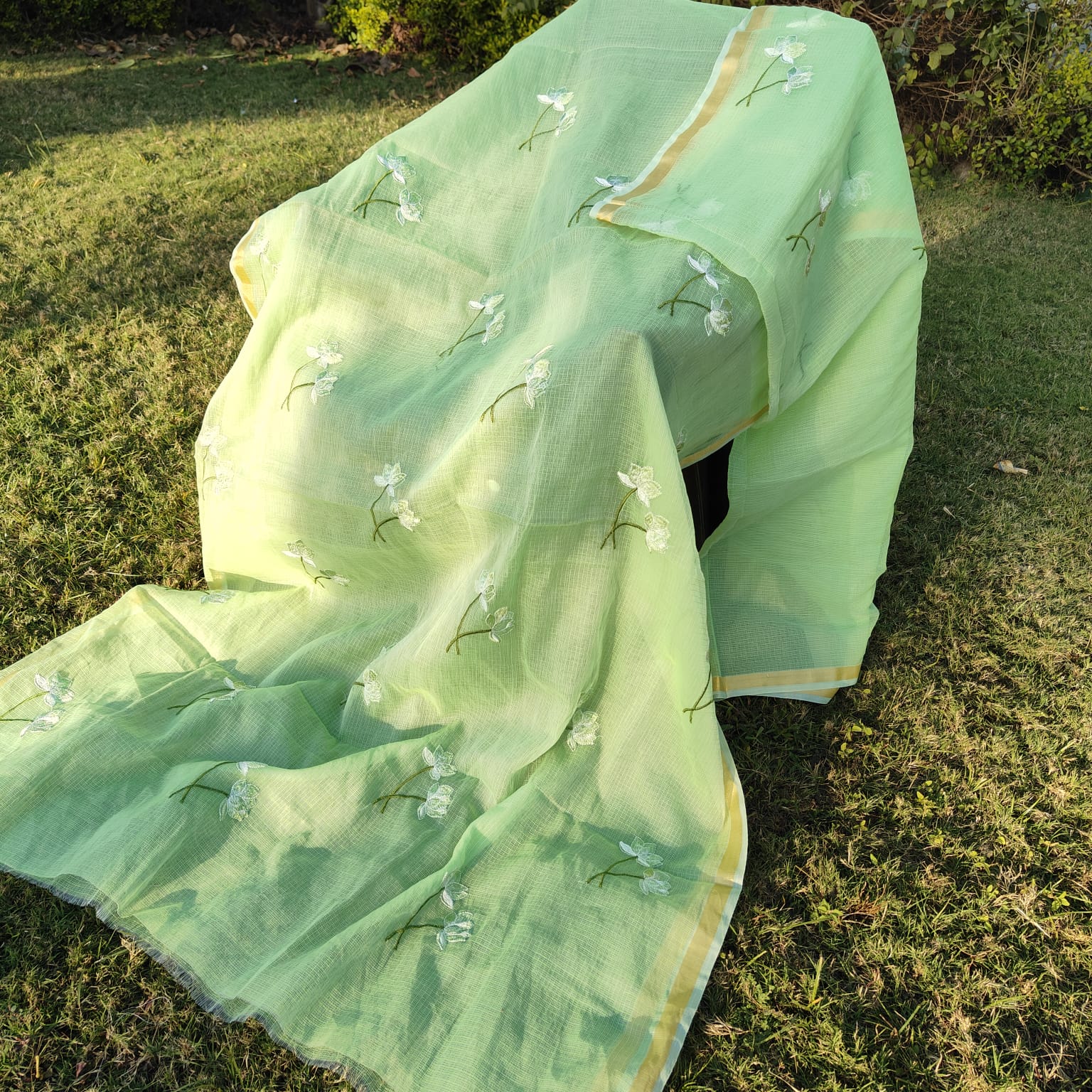 Pista saree with floral embroidery on a grassy background