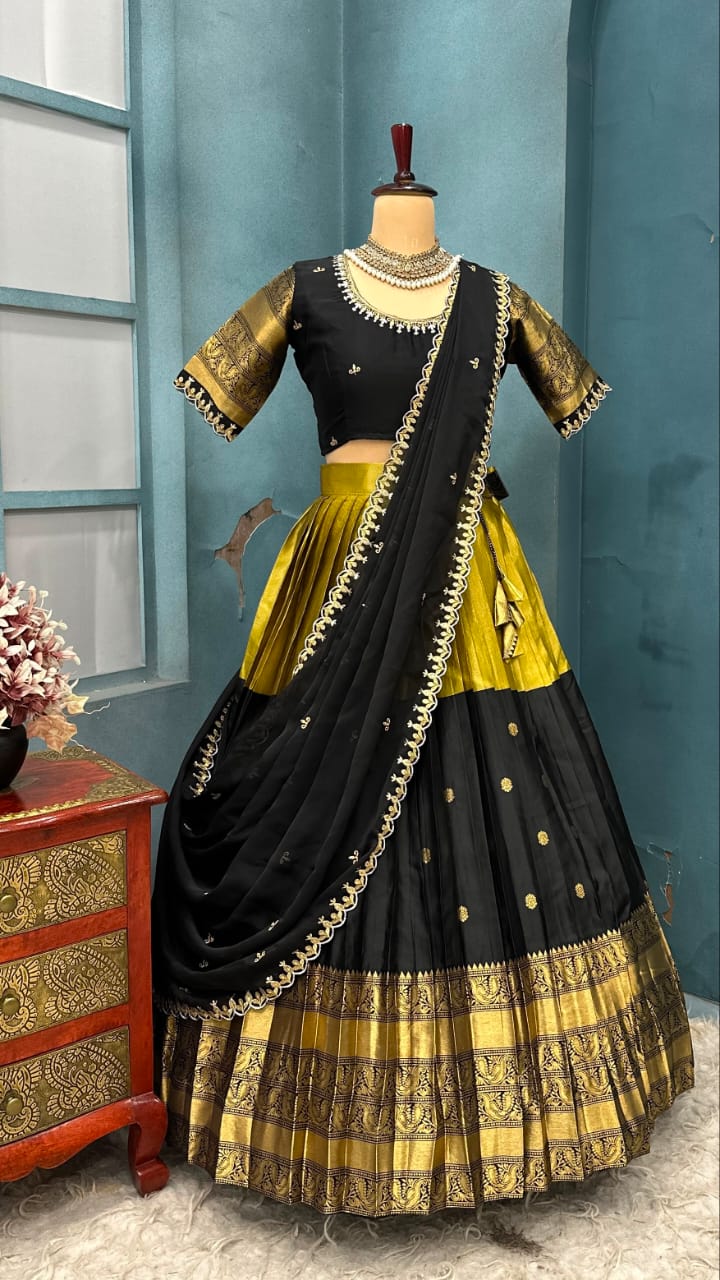 Kanjivaram Tissue Silk Dual combination Lehenga